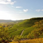1834guendelbacher-wachtkopf