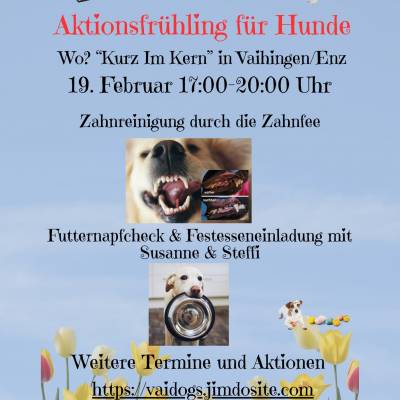 aktionsfruehling1922025