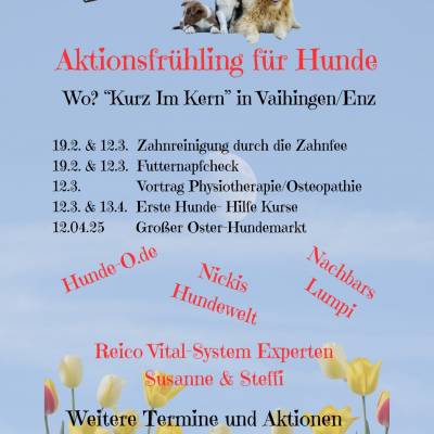 aktionsfruehlingueberblick