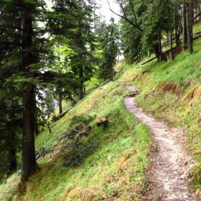 bergsteig-bayrischzeller-hoehenweg
