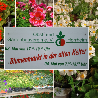 blumenmarkt-2024