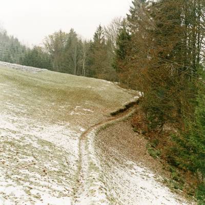 fuchsbernhardpfad-helfenberg200428x28cmweb