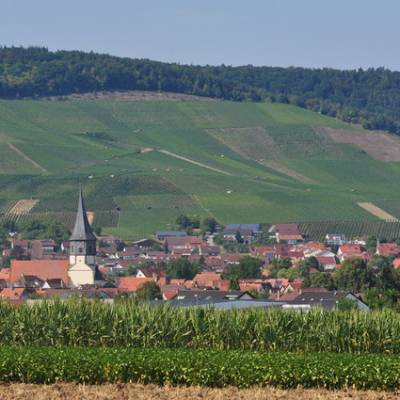 horrheim