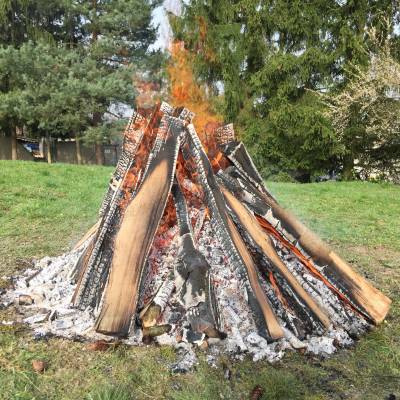 lakefleisch2016-0