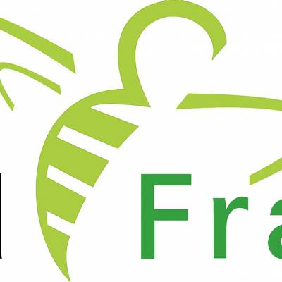 lfvfarbe