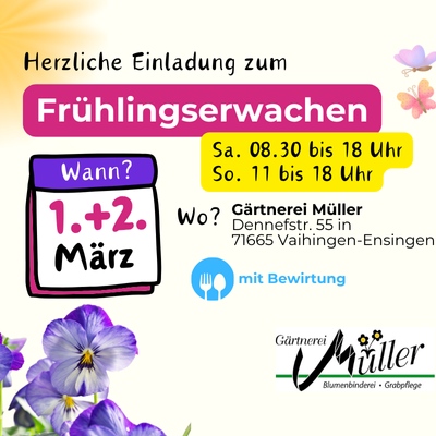 mobile-banner-500x400-