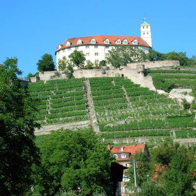 schloss-kaltenstein