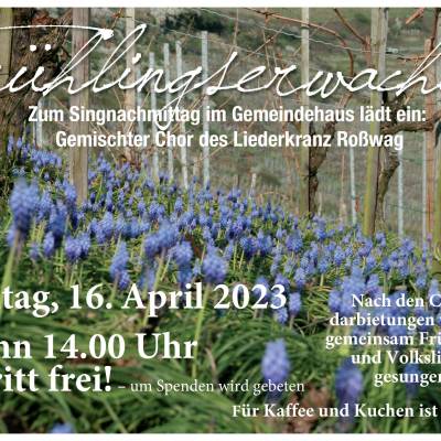 singnachmittag
