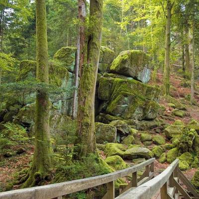 steinewald2