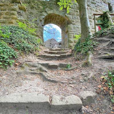 wanderung-ruine-blankenhorn-ochsenbach-