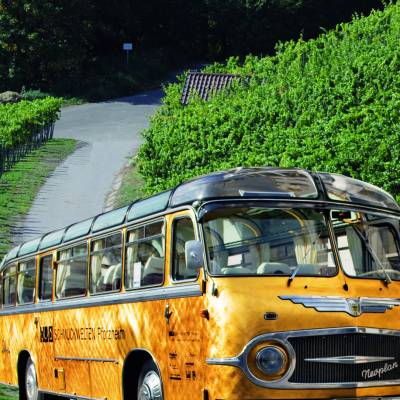 weinguthoppingimoldtimerbus