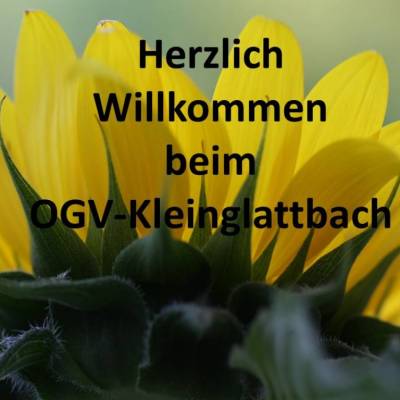 willkommenbeimogv