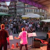 strassenfest-vaihingen
