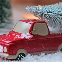fir-tree-18563431280