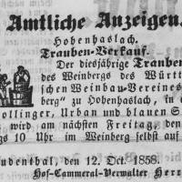 traubenverkauf