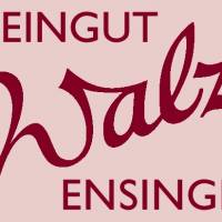 logo-weingut-walz-rot-eckig