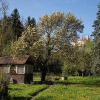 buergergarten-1266