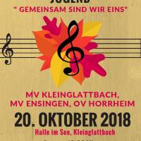 plakatgemeinschaftskonzert-page-001